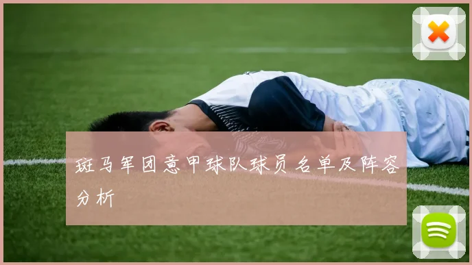 斑马军团意甲球队球员名单及阵容分析
